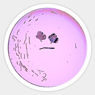 Pink Parsley Moon Face Sticker